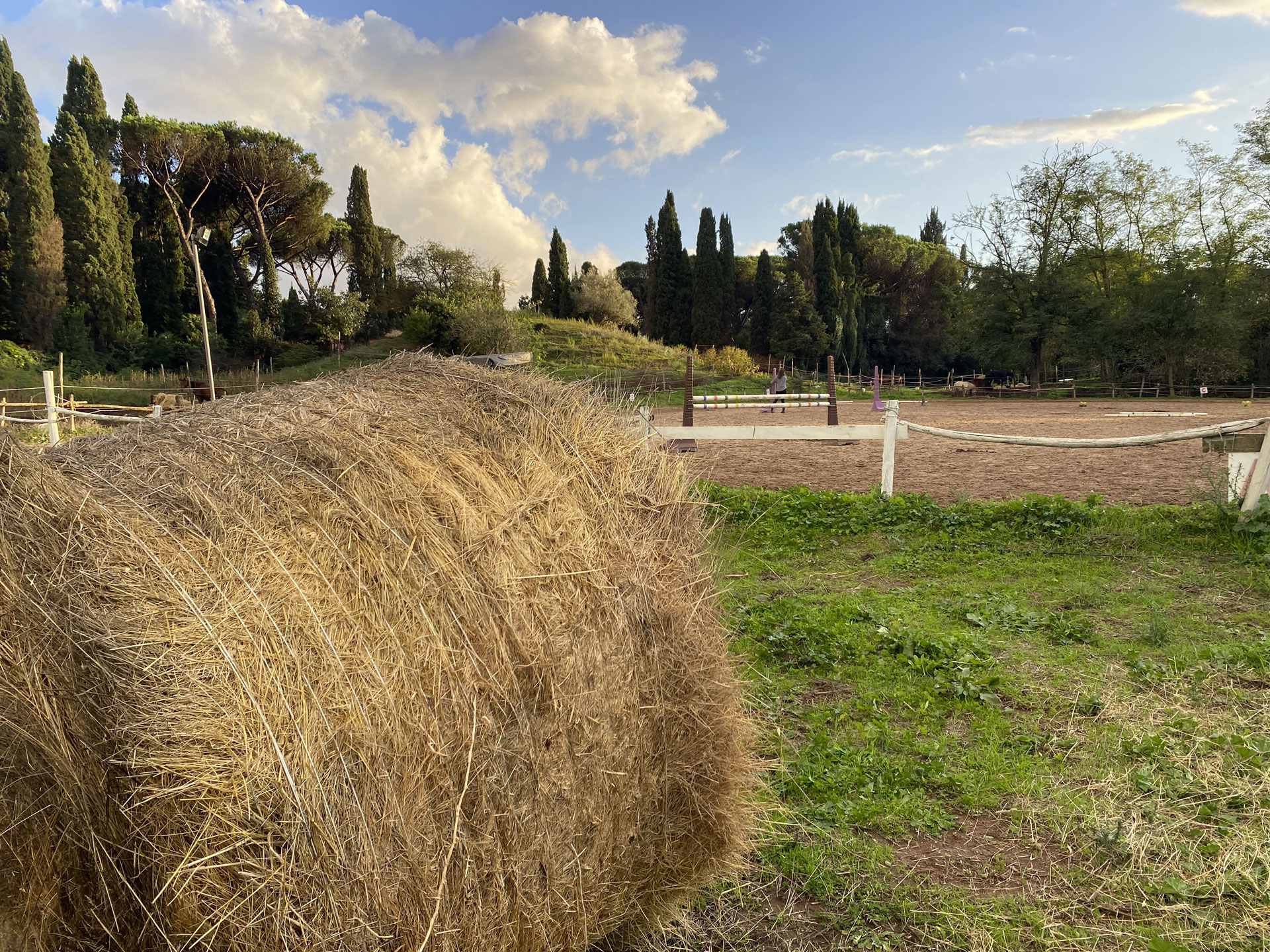 Cavalieri Appia Antica | Scuola di equitazione | Maneggio